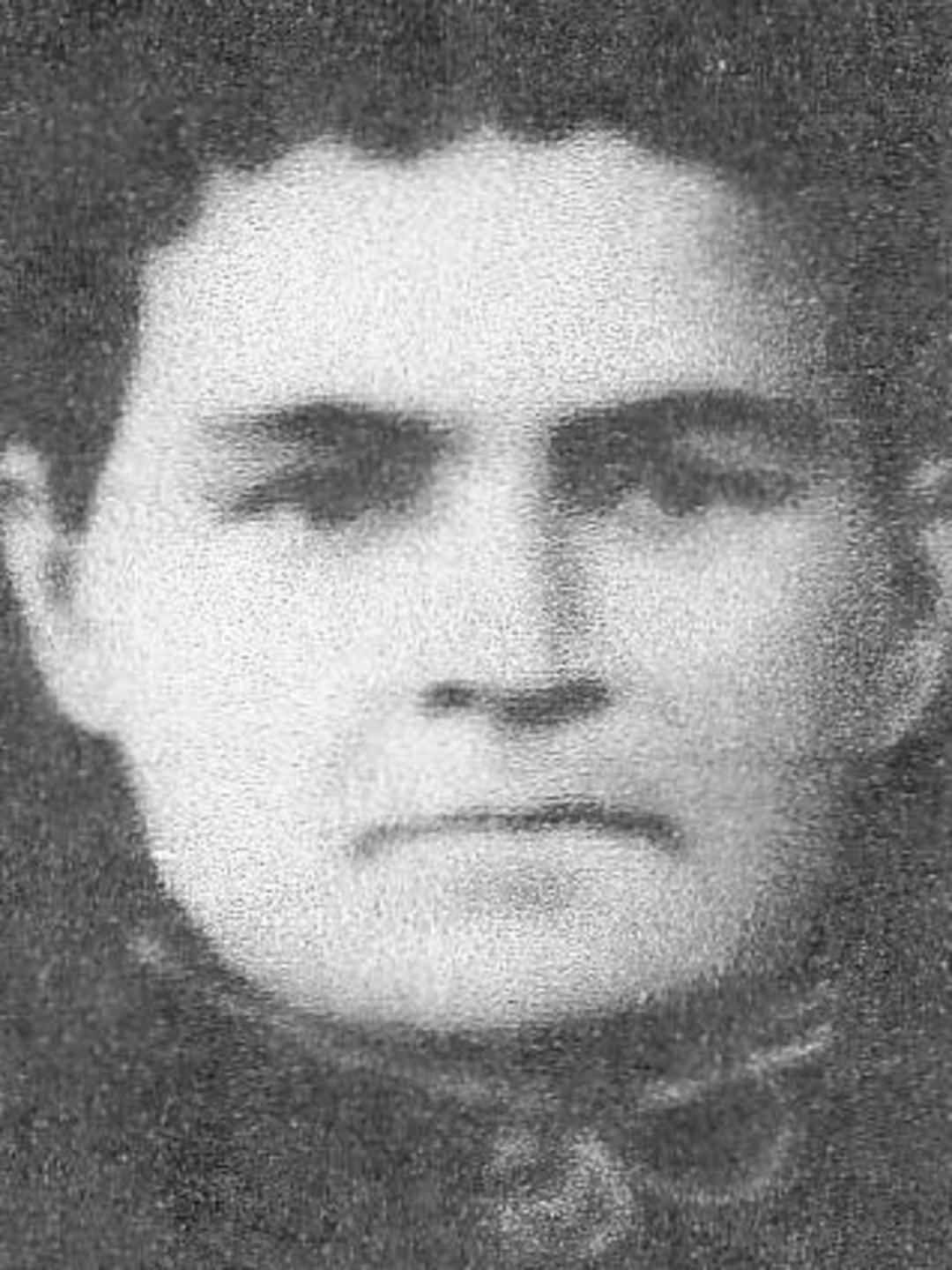 Lemyra Hillier (1842 - 1907) Profile